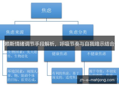 赖斯情绪调节手段解析，呼吸节奏与自我暗示结合